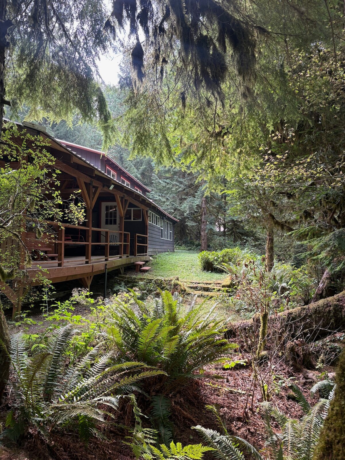 Foss River Cabin nestled in the forest